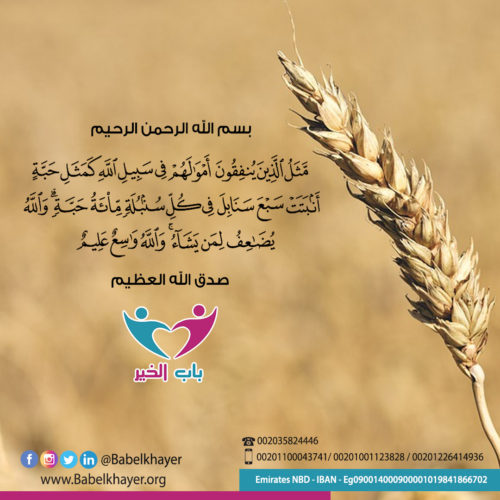 99bb7656-a5a0-44ba-9c14-6015e7424c62