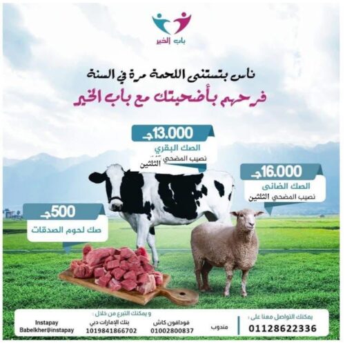 WhatsApp Image 2025-05-10 at 5.02.28 AM